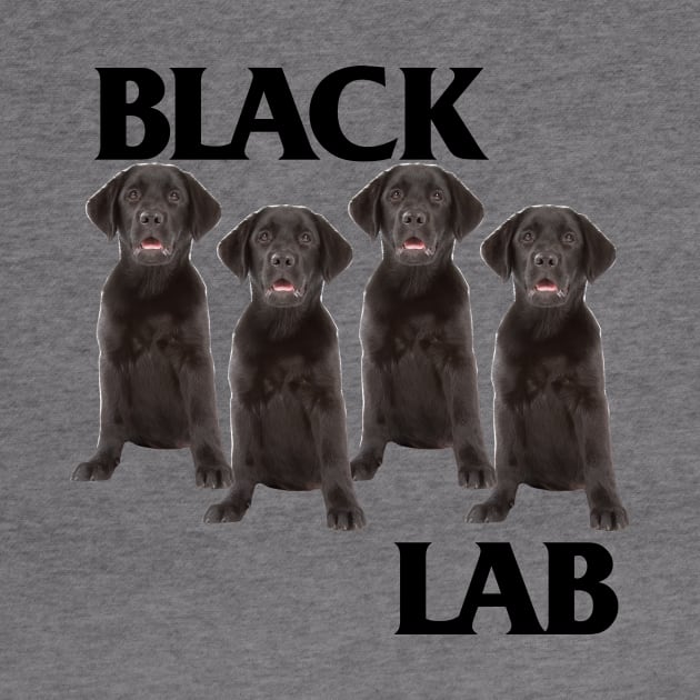 Black Lab by dann